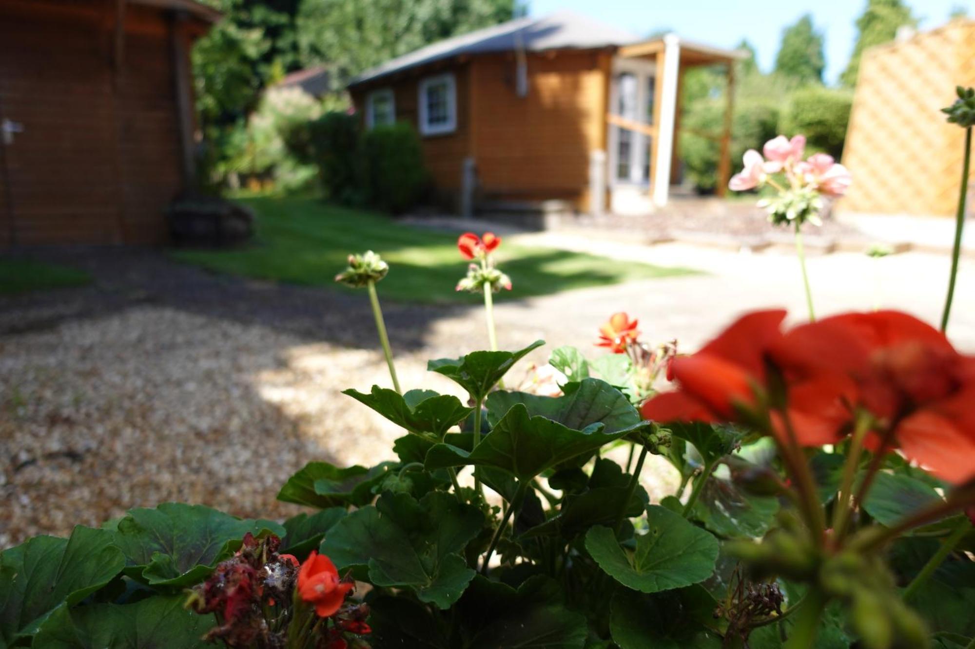 Huge 9 Bed Property Sleeps 17, Near Nec, City Centre, Hs2 Birmingham Exteriér fotografie